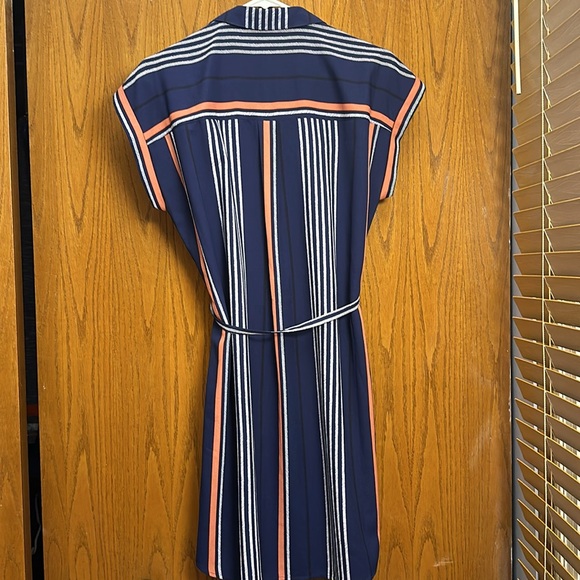 Express Dress. - Picture 4 of 4
